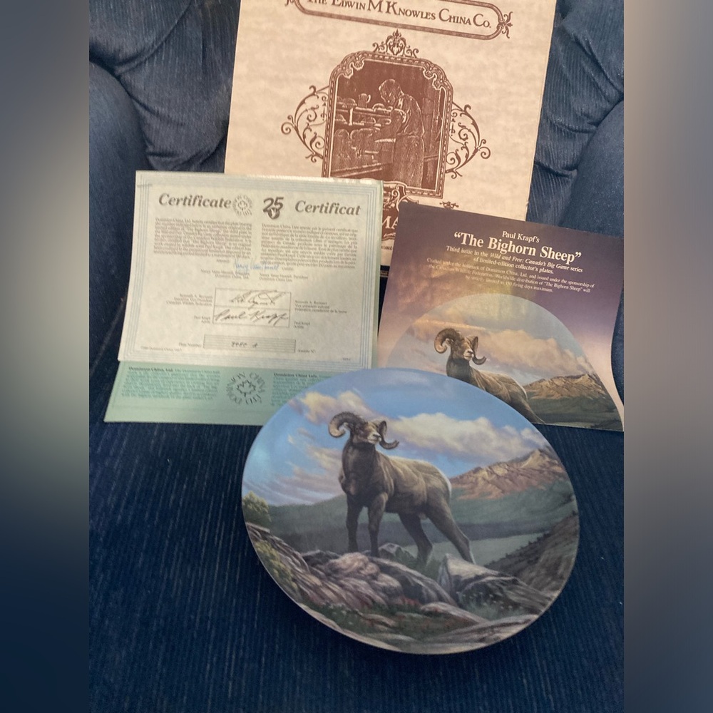 Collectable Plate